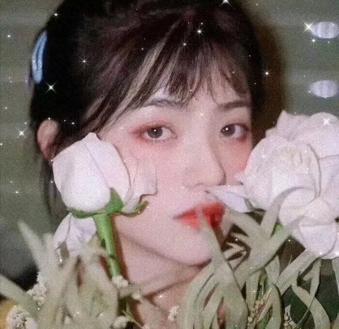 琅琊榜之风起长林